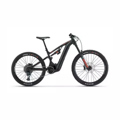 MTB E-Bike