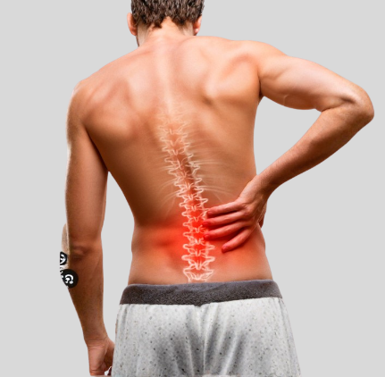 Quiropráctico y Kinesiólogo